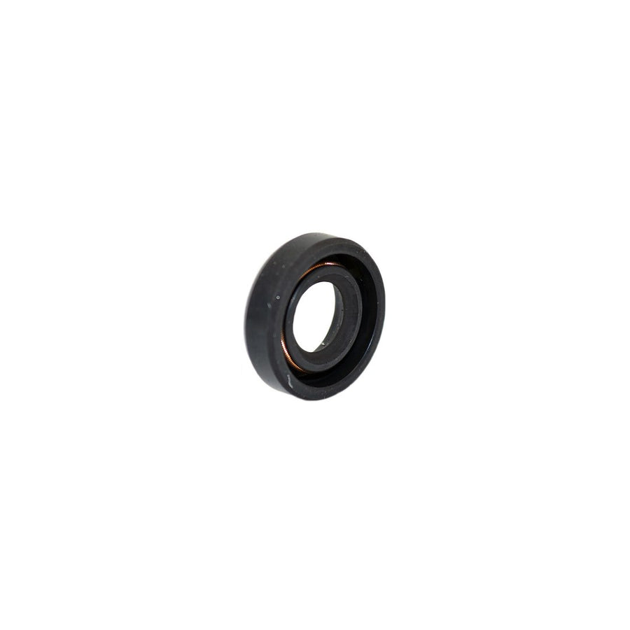 LIP SEAL 12X24X7 DPSM