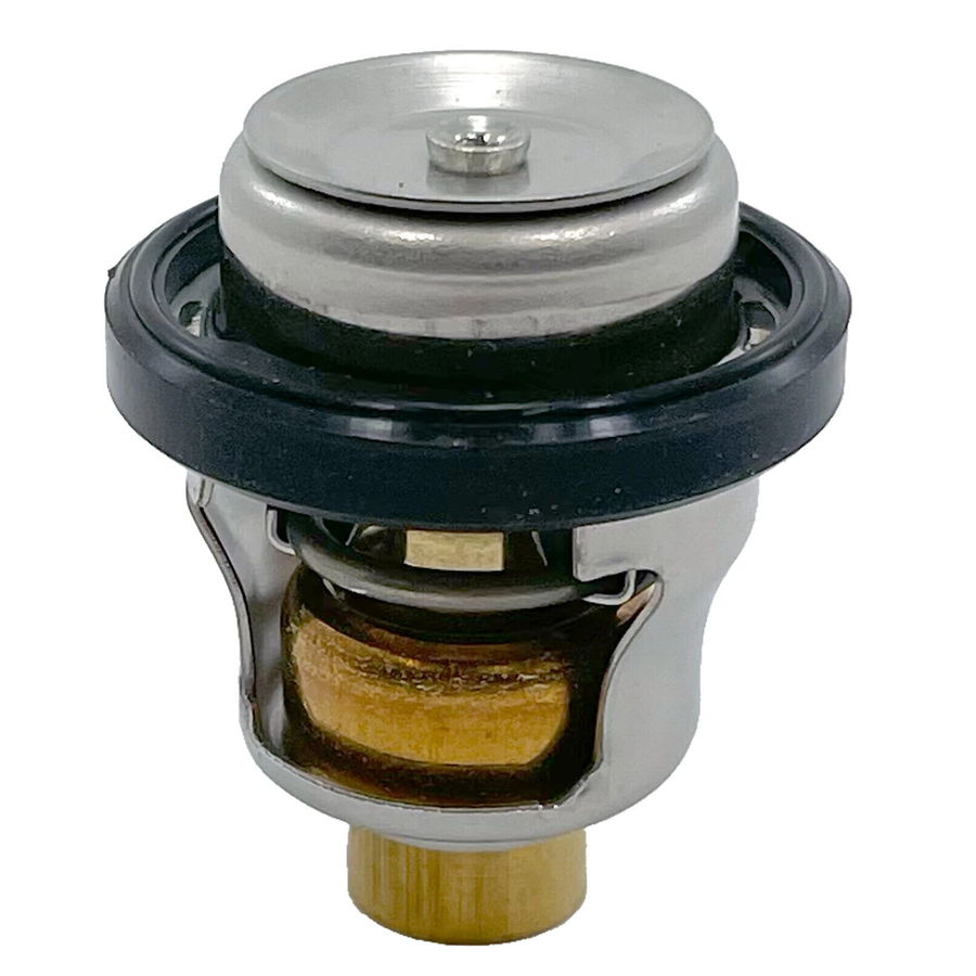 THERMOSTAT 60 C