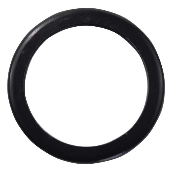 THERMOSTAT SEAL