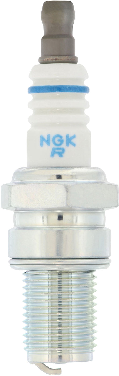 REG PLUGS
