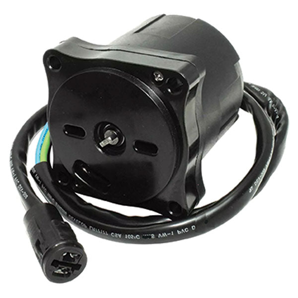TRIM MOTOR