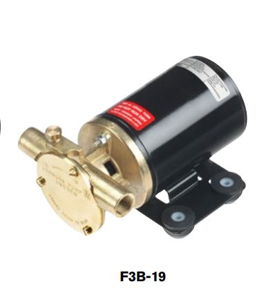 F3B-19 12V OIL CHANGE PUMP 3/8' NPT