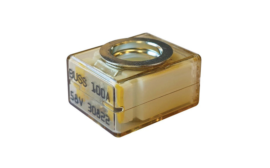 100 AMP FUSE ONLY