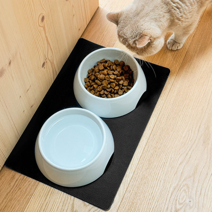 PORCELAIN FEEDING BOWL SET