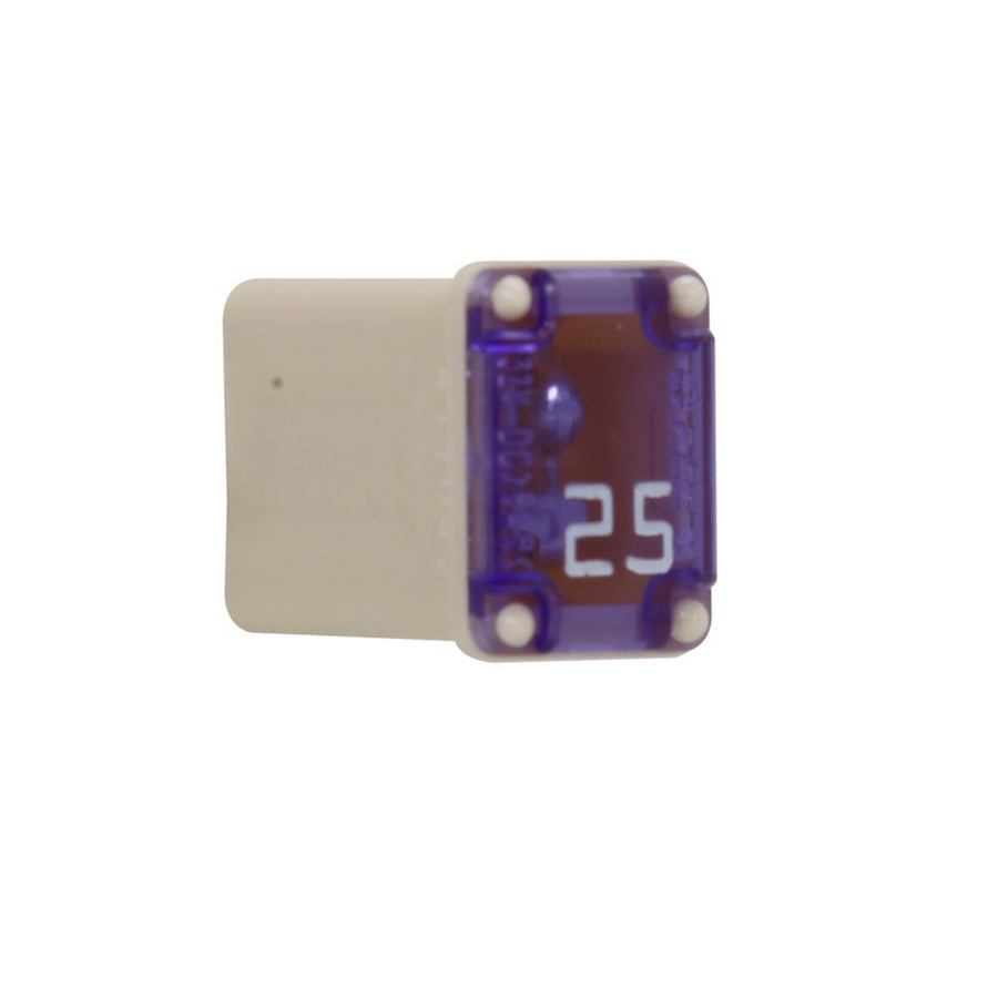 MICRO FEMALE TIME DELAY F