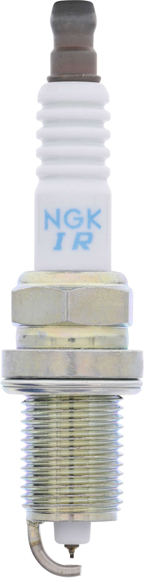 REG PLUGS