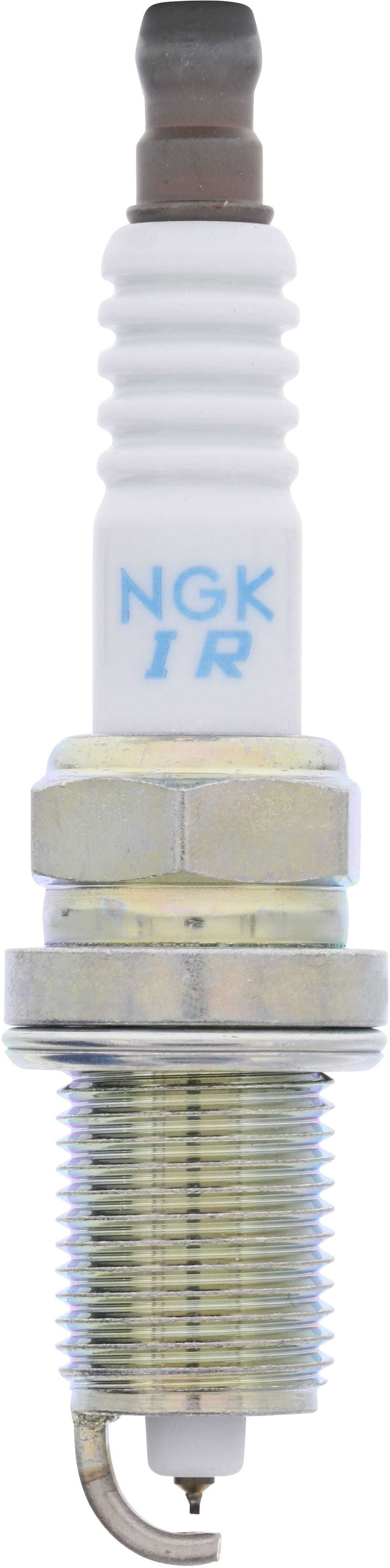 REG PLUGS