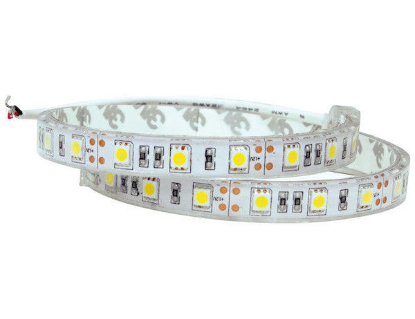 LIGHT STRIP 24IN CLEAR WARM 12VDC 3