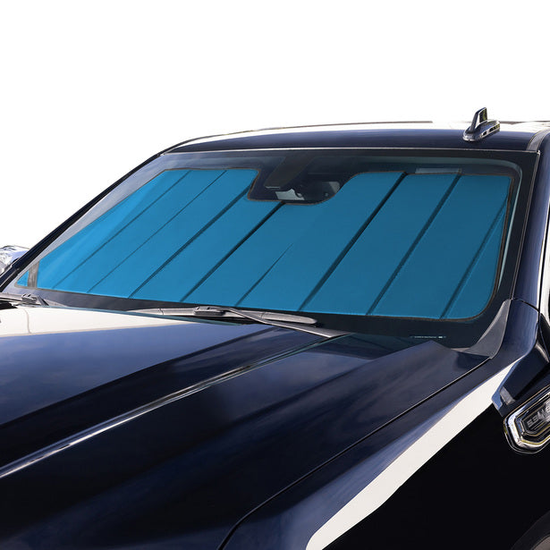 WINDOW VISOR BLUE SUPER DUTY