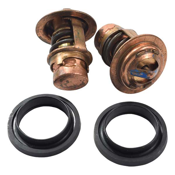 THERMOSTAT KIT