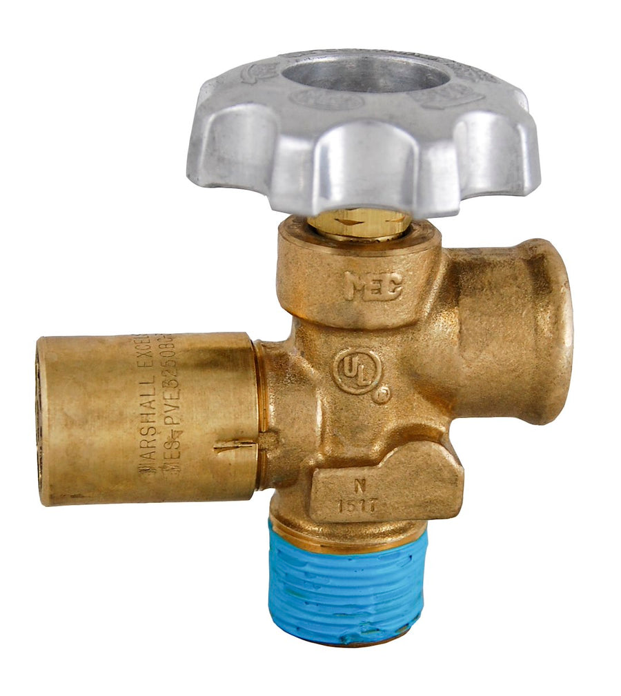 ASME SERVICE VALVE 3/4'NGT INLET
