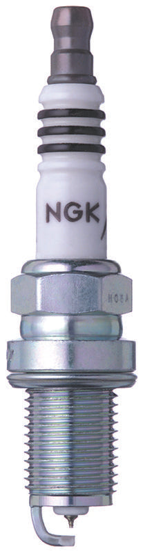 IMPORT PLUGS