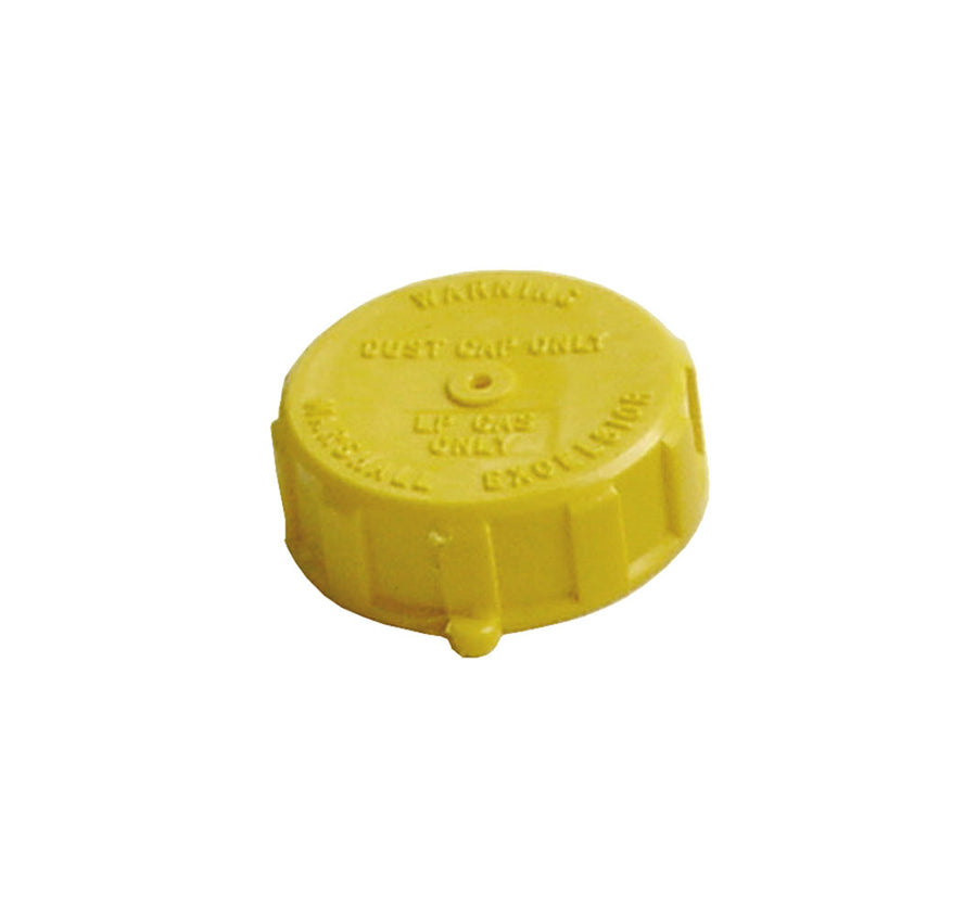TANK VALVE CAP ONLY