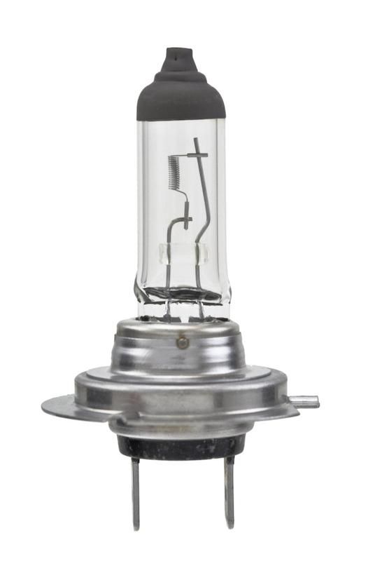 BULB H7 12V 55W PX26D T4.625 SB