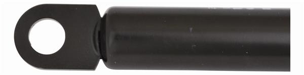 10MM 10X22' PLSC SKT 100#